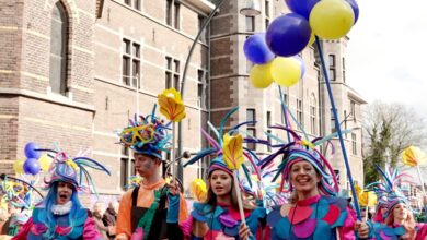 Kleurrijke carnavalsoptocht in de straten van Zwolle