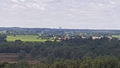 Vergezicht op de Lemelerberg
