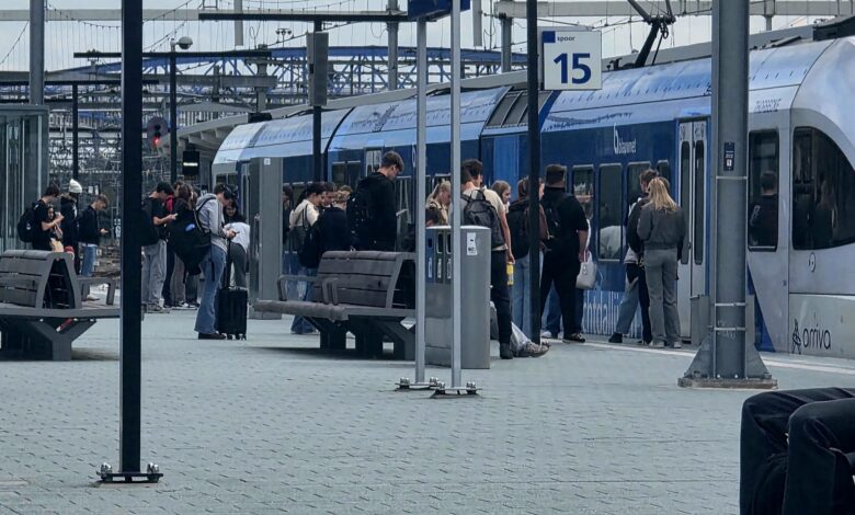 Treinen en perrons op station Zwolle waar VVD aandacht vraagt voor spoorveiligheid