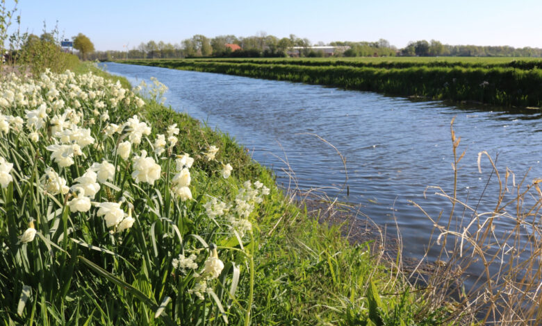 Nieuwe Wetering bij Broekland en Laag Zuthem waar natuurvriendelijke oevers worden aangelegd