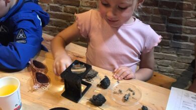 Kinderen pluizen uilenballen tijdens natuurmiddag in De Wheem