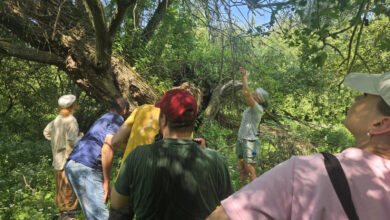 Deelnemers aan natuurprogramma Wildegaard in Zwolle