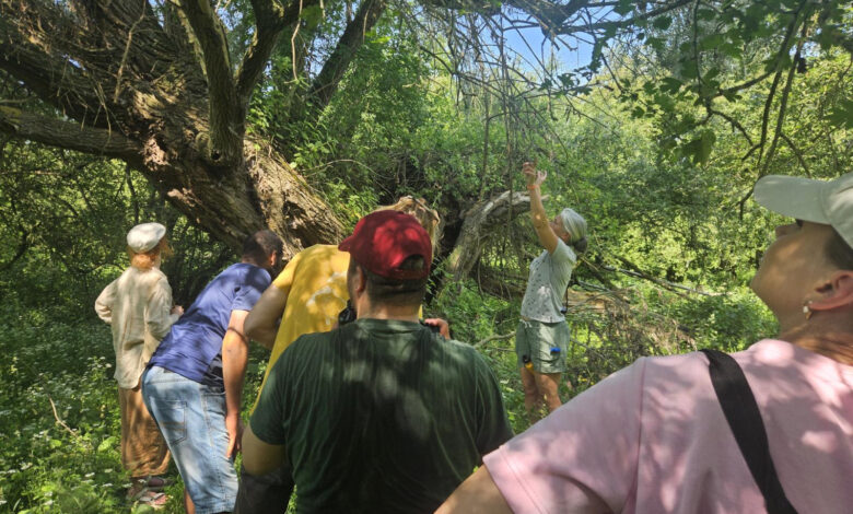 Deelnemers aan natuurprogramma Wildegaard in Zwolle