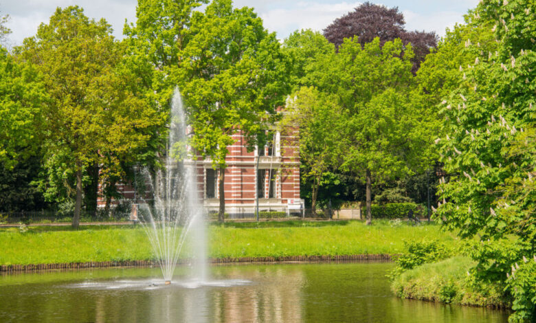 Toekomstbomen in Zwolle voor meer groen en verkoeling