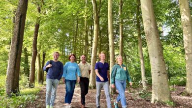 Herfstwandeling over de Lemelerberg tijdens Loop voor Landschap 2026