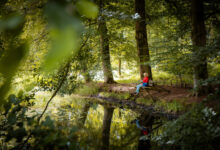 Herfstlandschap op Landgoed De Horte bij Dalfsen, locatie van een meditatieve wandeling