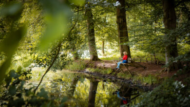 Herfstlandschap op Landgoed De Horte bij Dalfsen, locatie van een meditatieve wandeling