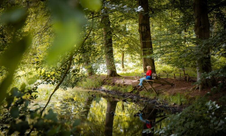 Herfstlandschap op Landgoed De Horte bij Dalfsen, locatie van een meditatieve wandeling