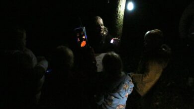 Bezoekers beleven de Nacht van de Nacht in de Nooterhof in Zwolle