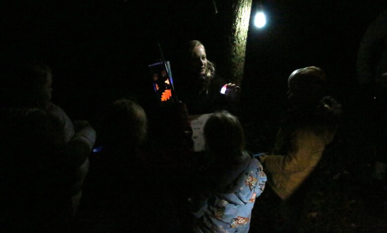 Bezoekers beleven de Nacht van de Nacht in de Nooterhof in Zwolle
