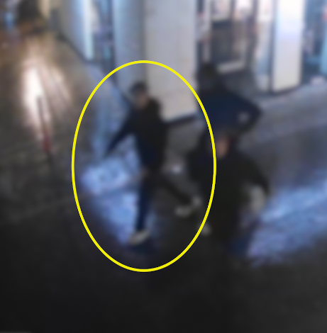 Door de politie geblurde camerabeelden van de mishandeling op de Wheem in Meppel