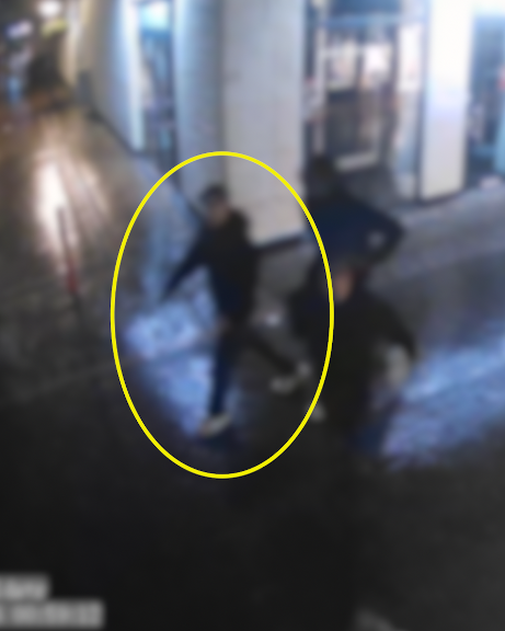 Door de politie geblurde camerabeelden van de mishandeling op de Wheem in Meppel